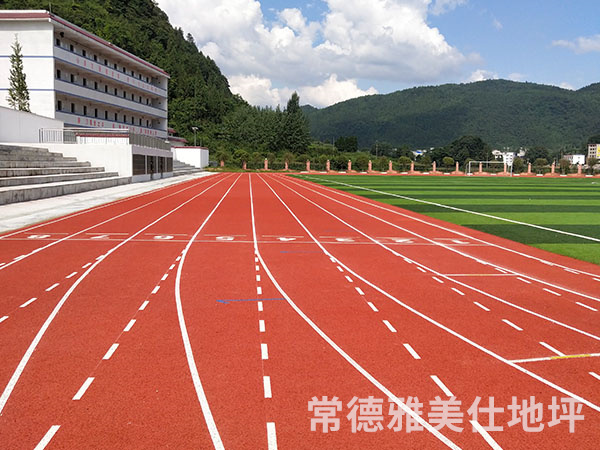 銅仁中學塑膠跑道、草坪